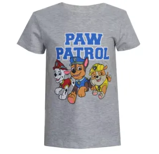 Chlapčesnké tričko s krátkym rukávom PAW PATROL sivé